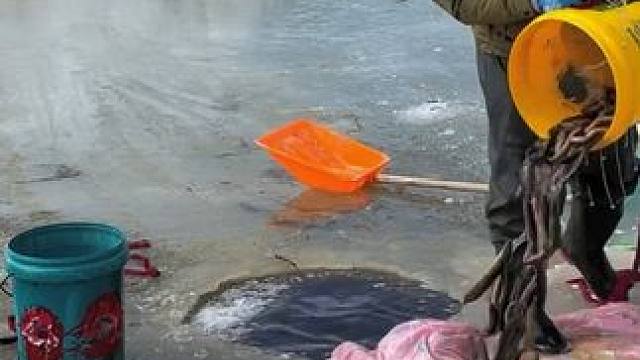 #户外捕鱼 #好多鱼