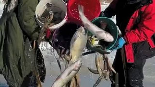 #户外捕鱼 #好多鱼