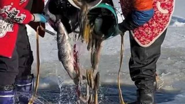 #户外捕鱼 #好多鱼