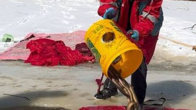 #户外捕鱼 #好多鱼