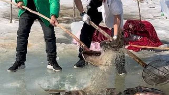 #户外捕鱼 #好多鱼