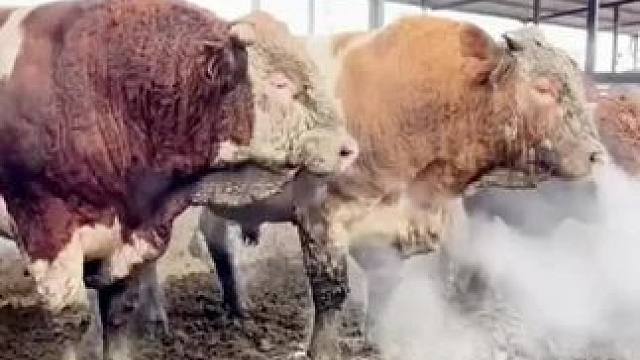 我发布了一个新视频，快来围观吧！