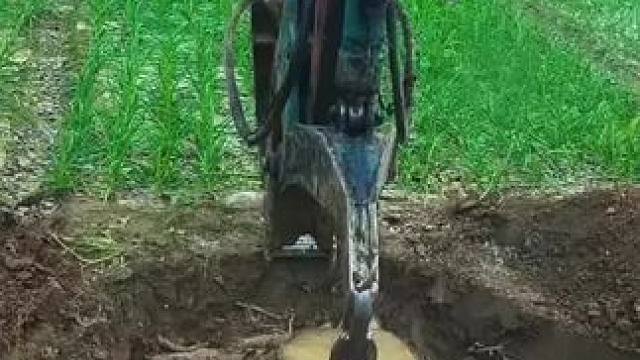 我发布了一个新视频，快来围观吧！