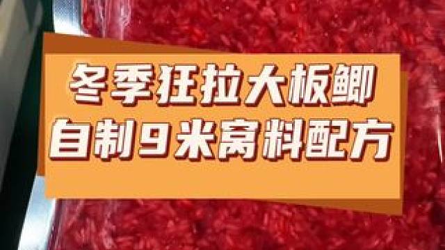 冬天比较好用的诱大鲫鱼酒米窝料配方#酒米打窝 #钓鱼 #窝料制作