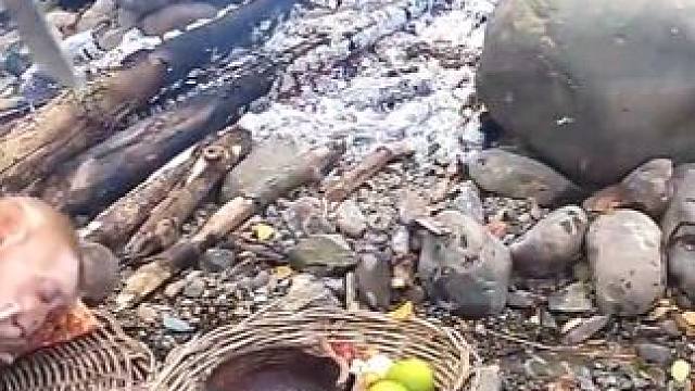 钓大鱼，野生做饭，和猴子一起 #野外生活纪录片 #荒野厨王 #户外烹饪 #大自然的馈赠 #大山里的味