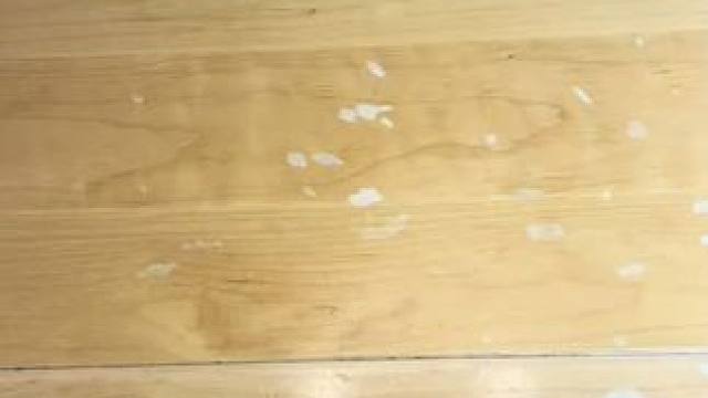 叫他给你画什么，它就给你画出来 #画画机器人 #玩个很新的东西