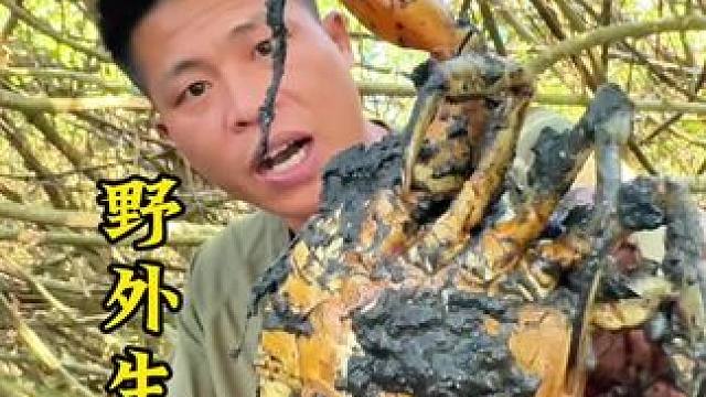 野外生存 第39集｜#户外 #野外生存 #户外美食 #抓螃蟹 #探险