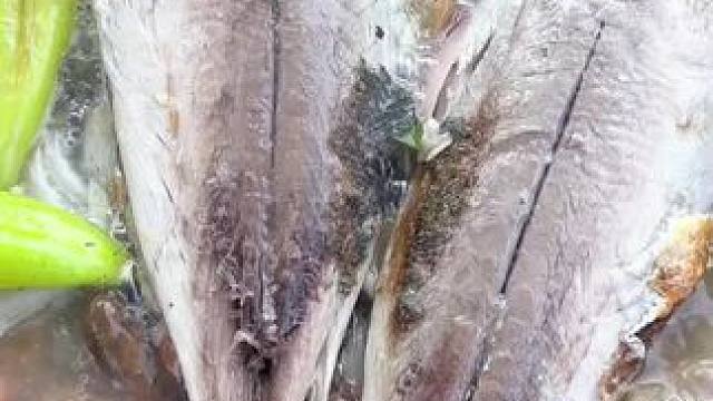 哈哈矮子他们来了 #农村生活 #田园生活乐趣多 #东南亚矮子