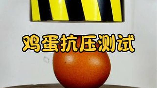 鸡蛋的硬度到底有多高？用液压机测试，结果让人意想不到 #涨知识 #科普一下 #鸡蛋