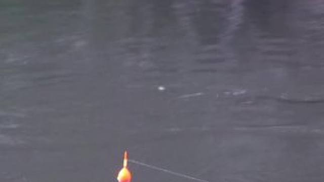 #钓鱼的乐趣只有钓鱼人懂 #爱生活爱钓鱼