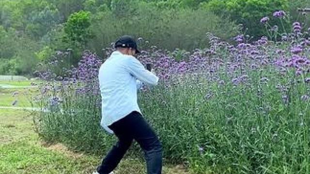 花花美景试试这样拍太美了#手机摄影 #拍摄技巧 #治愈系风景 #在这遇见紫色花海 #随手一拍都是美景