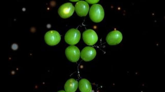 教你用一部手机和一块黑色摄影吸光布拍出高级创意唯美照片，操作简单，新手小白一学就会#手机摄影 #拍摄