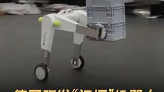 德国研发“门框”机器人，为搬运重物而生#门框机器人 #人形机器人