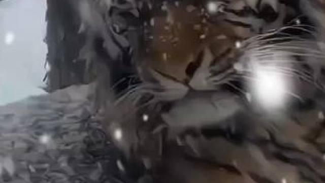 纯阳之体又如何 那个男人不会再回来了