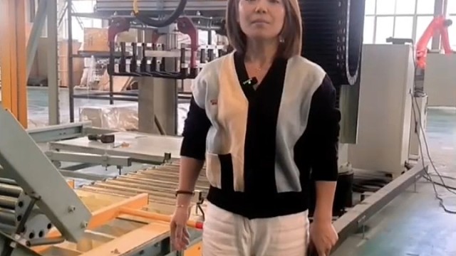 山东码垛机器人-厂家直供-终生维护#工业机器人 #机械手 #堆垛机 #协作机器人 #自动化生产线 @