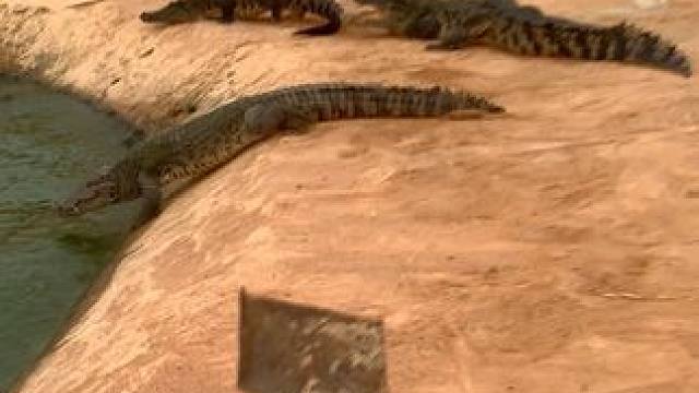 每天锻炼一下身体，你会发现整个人都精神了#危险动作请勿模仿