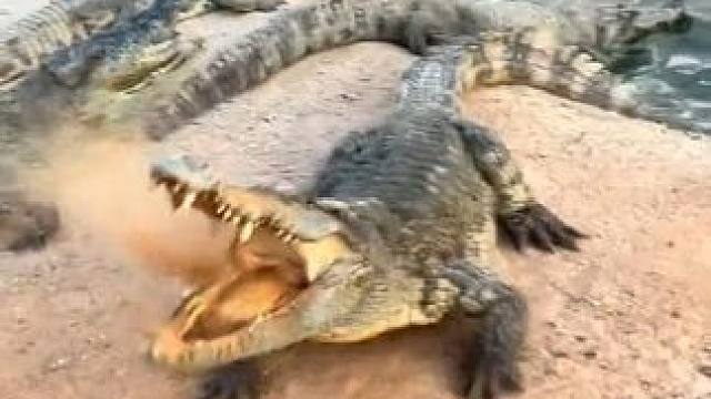 好久没锻炼身体了，铁锹都有点提不动#危险动作请勿模仿