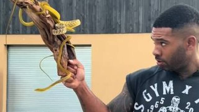 狠人 #国外视频分享 #野生动物零距离 #专业操作请勿模仿