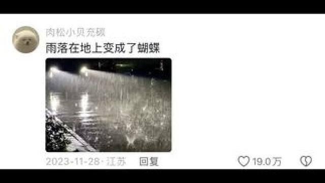 评论区摄影作品毒辣点评！ #评论区摄影大赛 #摄影作品点评 #摄影 #随手一拍的封神照片 #摄影吐槽