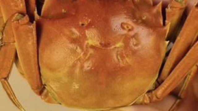 生活实用小妙招 #生活小技巧 #小妙招 #小妙招大作用 #生活小妙招 #生活小妙招每日更新