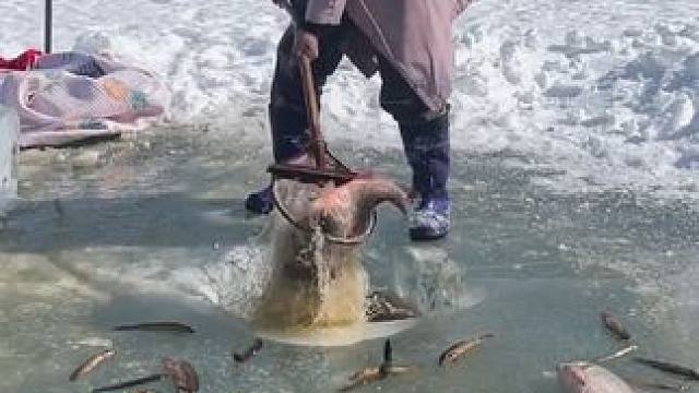 #户外捕鱼 #好多鱼