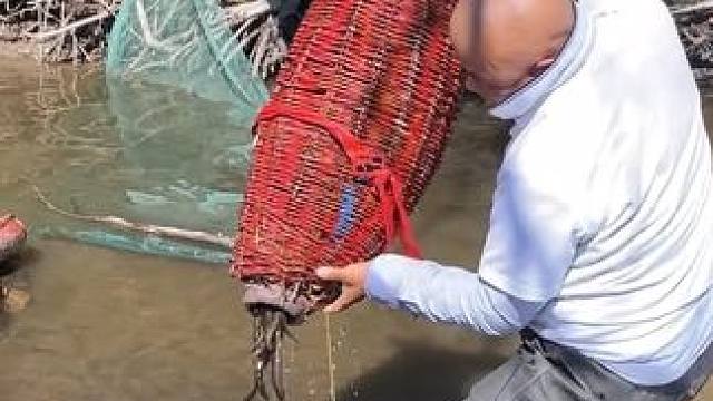 #户外捕鱼 #好多鱼