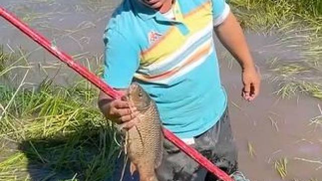 #户外捕鱼 #好大一条鱼