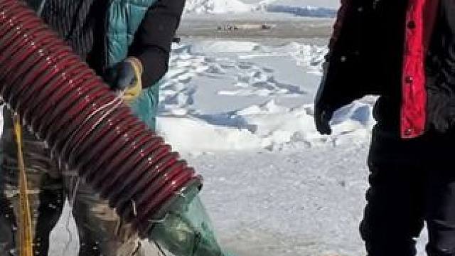 #户外捕鱼 #好多鱼