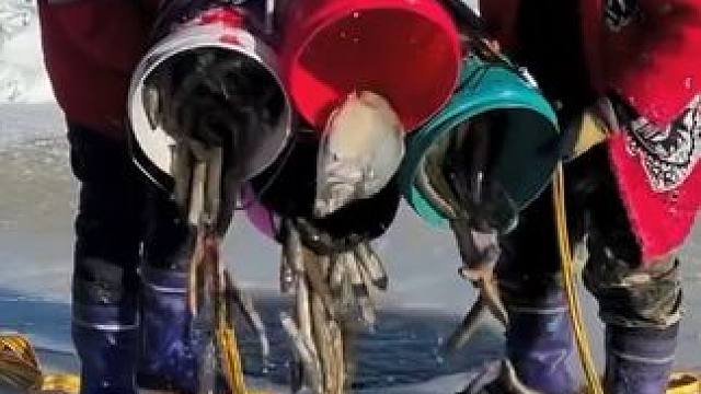 #户外捕鱼 #好多鱼