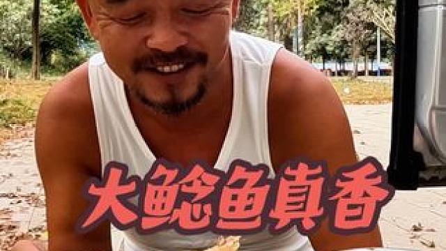 沙大厨展示厨艺真泡姜炖鲶鱼，配上广西公文包绝了#床车生活 #自驾旅行
