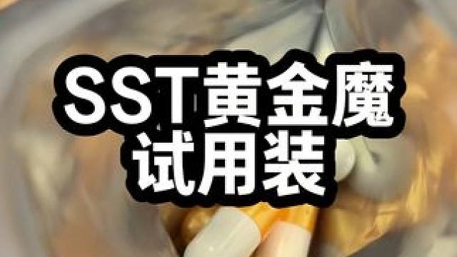 SST黄金魔试用装
