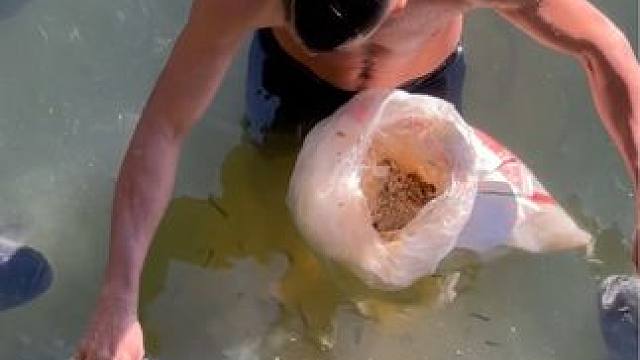 #这鱼哪个钓友看了不羡慕 #钓鱼的乐趣只有钓鱼人懂