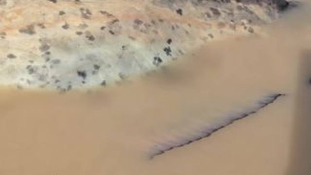 #这鱼哪个钓友看了不羡慕 #每个钓鱼人都有个百斤巨物梦