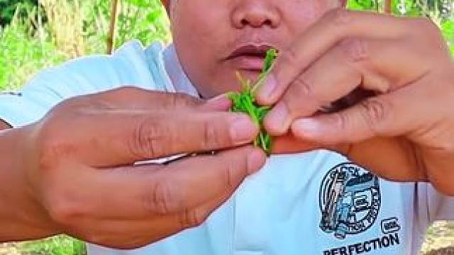 臭菜鲜嫩芦笋泰式️酸辣凉拌小墨鱼块 #泰国主播吃美食视频 #内容启发搜索 #泰式凉拌海鲜视频 #舌尖