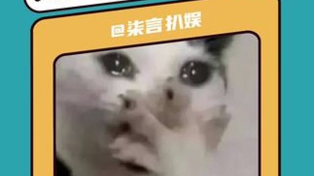 原来时间过的这么快#十年前 #回忆  #时间