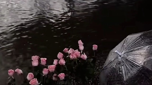 可接配音
睡前故事录制
伤感语录
定制语录