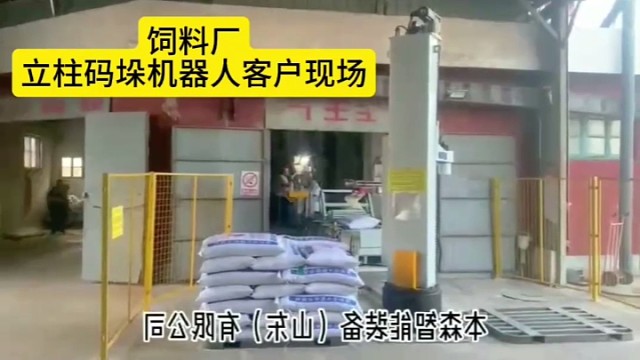 泰安 自动码垛生产线全自动-支持非标定制#码垛机器人 #堆垛机 #机械手 @饲料@混合饲料 @预混料