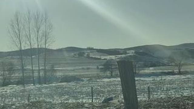 到处都是雪#东北的冬天 #雪 #冬天该有的样子 #随手拍