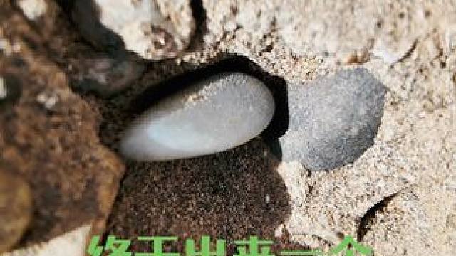 #挖玉第一现场 #户外捡石 #户外捡石寻宝 #捡石头 #天然玉石