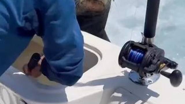 糊弄谁呢？ 别以为我闻不到里面藏了条大家伙！#海豚 #出海 #爱护海洋生物