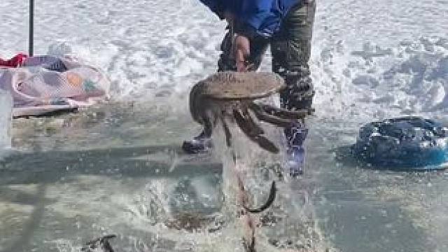 #户外捕鱼 #好多鱼