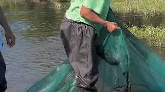 #户外捕鱼 #好多鱼