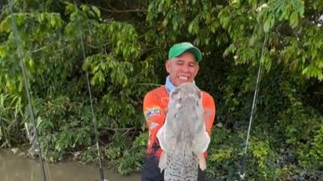 漂亮的虎纹鸭嘴鲶 #国外视频分享 #好大一条鱼 #钓鱼的乐趣只有钓鱼