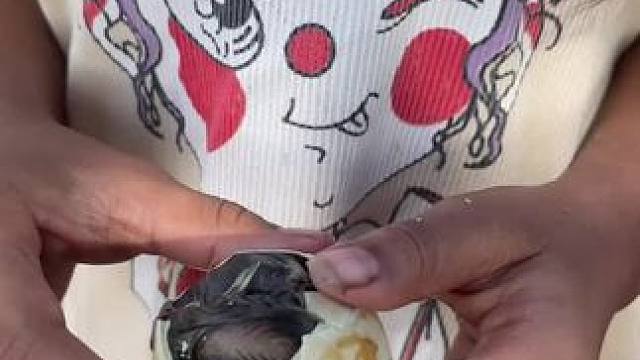 东南亚毛蛋 #毛蛋#毛蛋怎么吃 #吃毛蛋能补什么 #土鸡蛋的营养价值 #东南亚美食