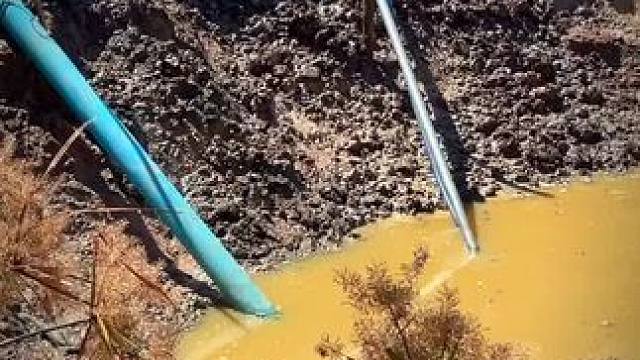 户外抓鱼 #户外抓鱼#户外野炊烤鱼#东南亚乡村生活 #农村美食记录生活