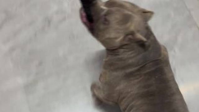 美好的一天 好好吃好好喝好好爱自己，空了坚持锻炼。️#vlog日常 #passion #训练打卡 #