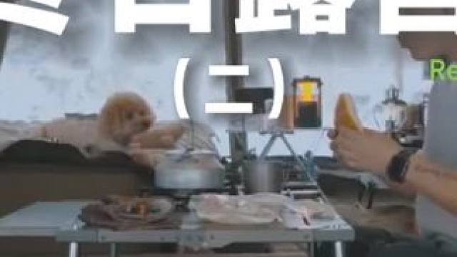 冬日露营（二）#露营 #助眠 #解压 #户外露营 #雪