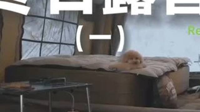 冬日露营（一）#露营 #助眠 #解压 #户外露营 #雪