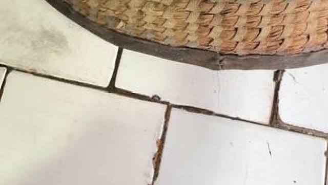 你终于睡醒啦！
         小时候某个晌午老妈蒸的红薯也熟了#蒸红薯  #童年味道 #普通人的