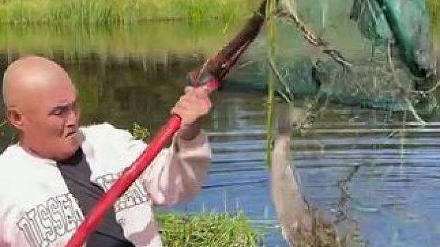 #户外捕鱼 #好大一条鱼